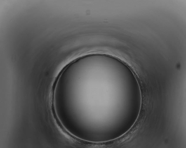 X0000097981519200804011732