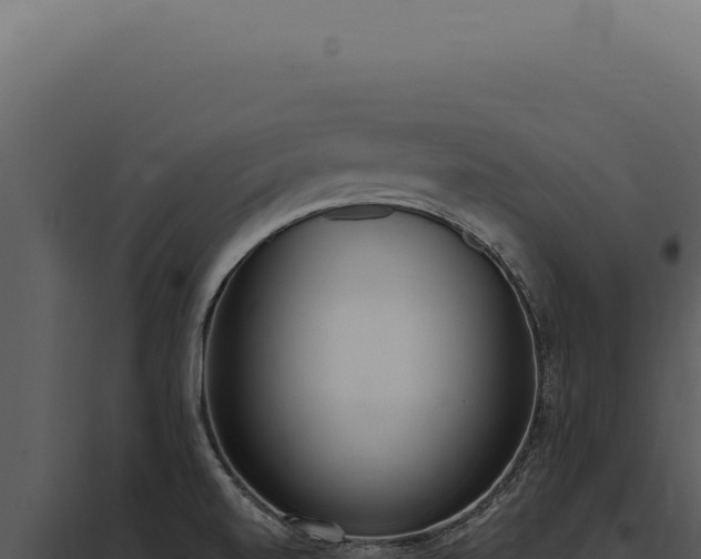 X0000097981520200804011732
