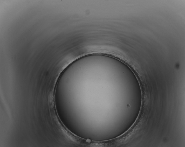 X0000097981521200804011732