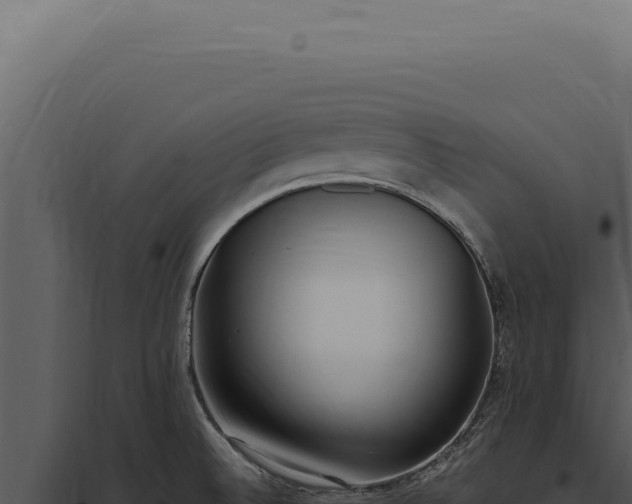 X0000097981524200804011733