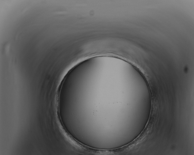 X0000097981526200804011733