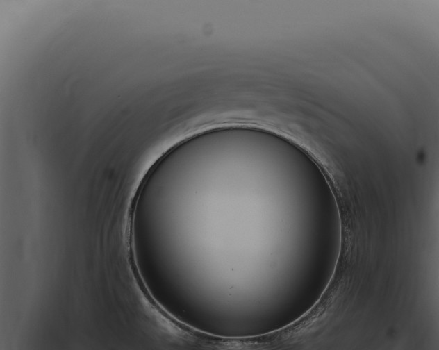X0000097981527200804011733