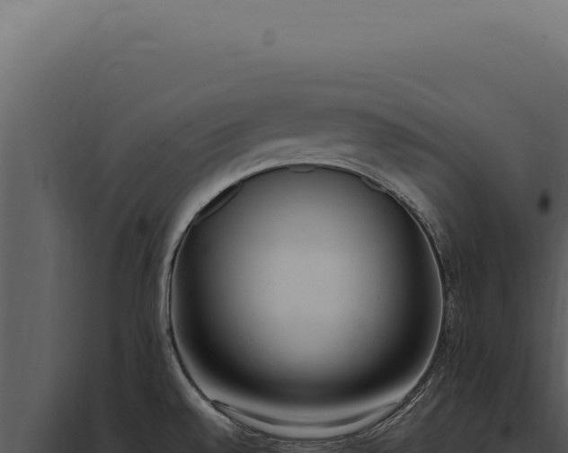 X0000097981528200804011733