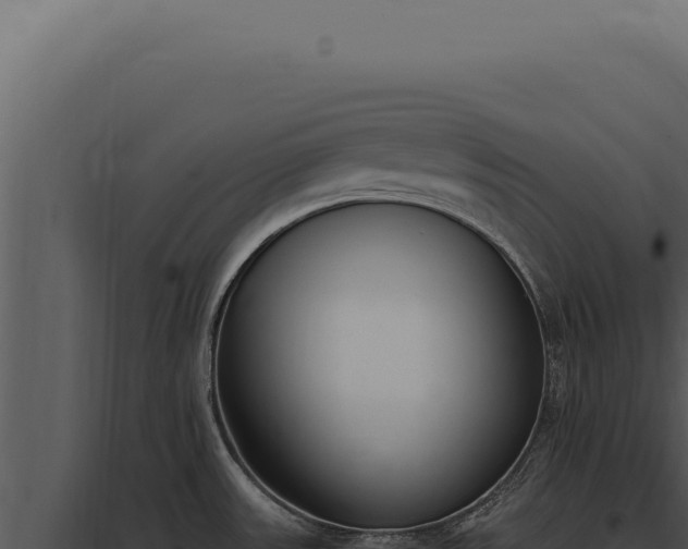 X0000097981531200804011733
