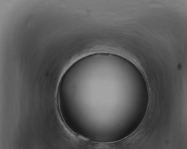 X0000097981536200804011733