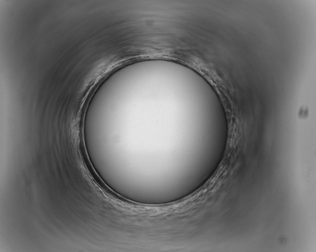 X0000097980002200804071137