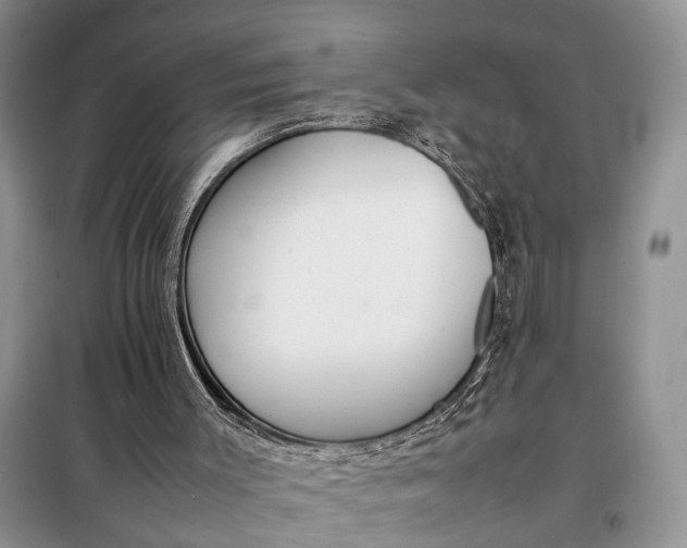 X0000097980003200804071137