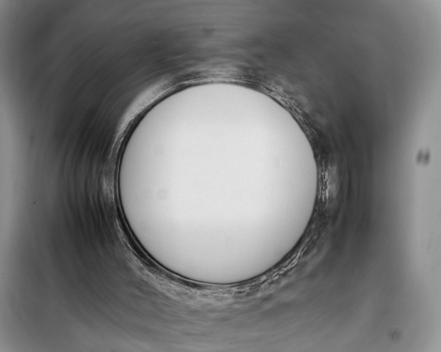 X0000097980004200804071137