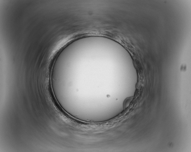 X0000097980005200804071137