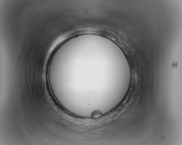 X0000097980006200804071137