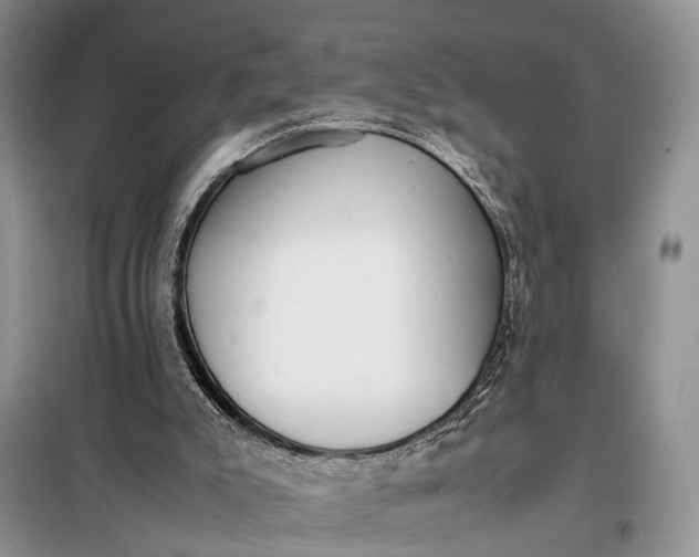 X0000097980007200804071137