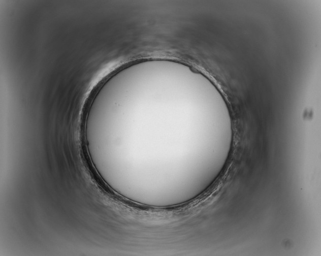 X0000097980008200804071137