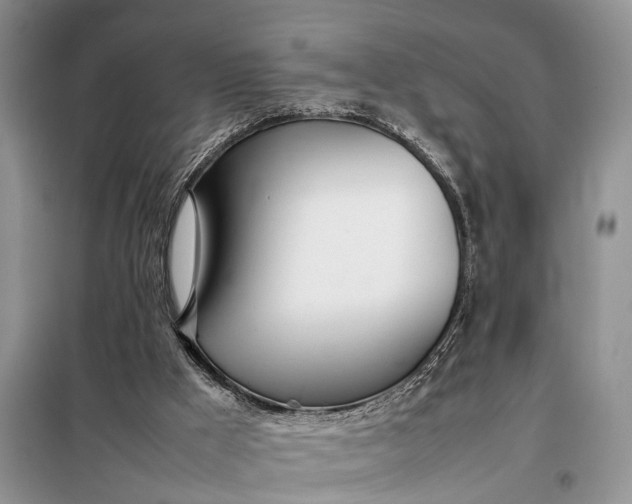 X0000097980009200804071137