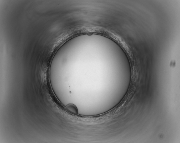 X0000097980010200804071137