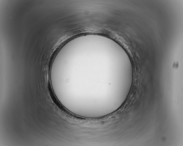 X0000097980011200804071137