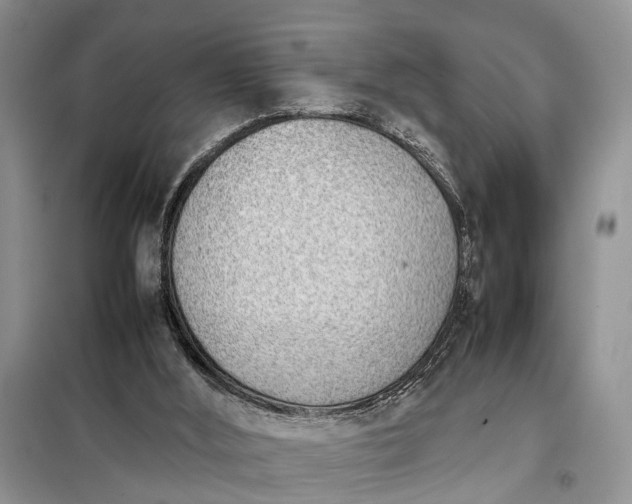 X0000097980012200804071137