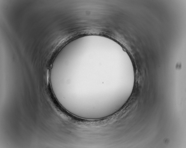 X0000097980013200804071137