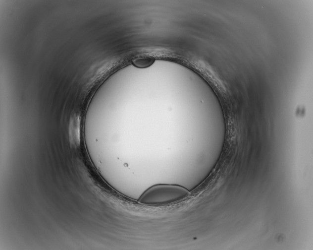 X0000097980014200804071137