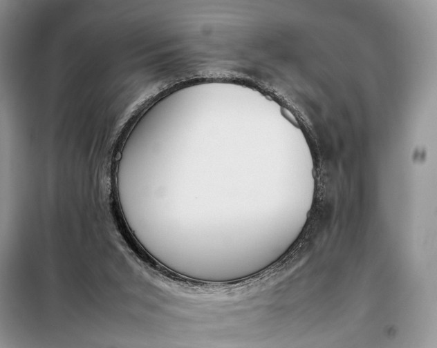 X0000097980015200804071137