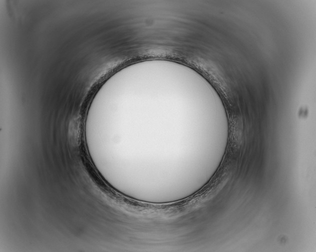 X0000097980016200804071137