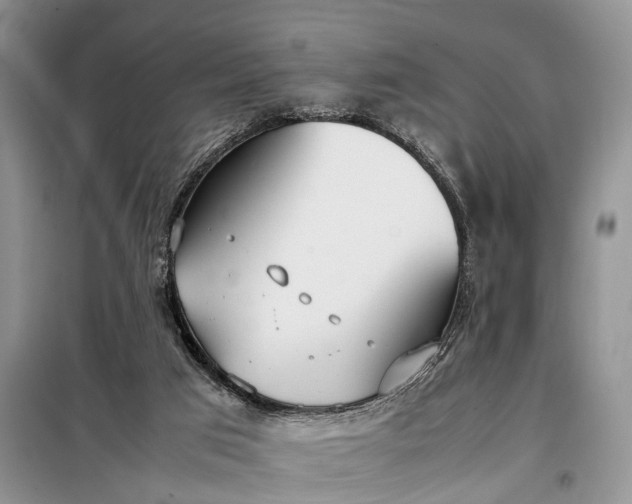 X0000097980017200804071137