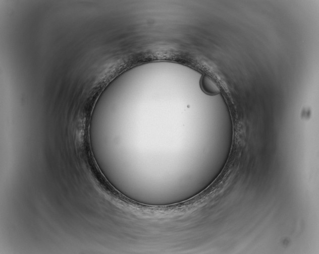 X0000097980018200804071137