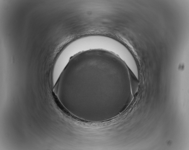 X0000097980019200804071137