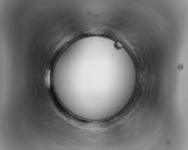 X0000097980020200804071137