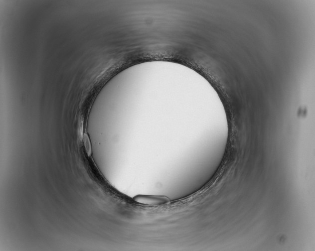 X0000097980021200804071137