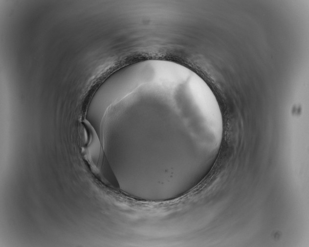 X0000097980023200804071137