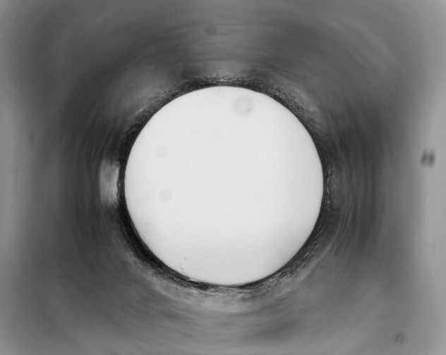 X0000097980024200804071137