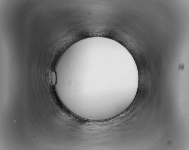 X0000097980025200804071137