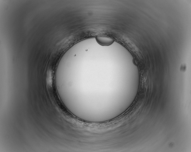 X0000097980026200804071137