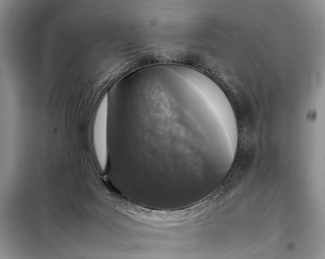 X0000097980027200804071137