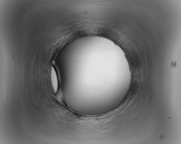 X0000097980029200804071137