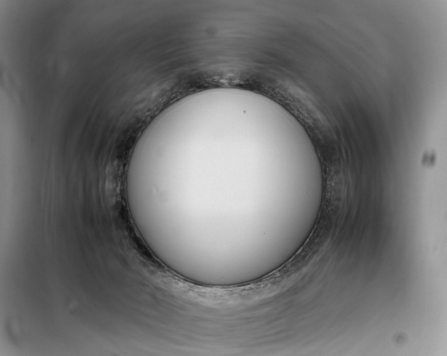 X0000097980030200804071137