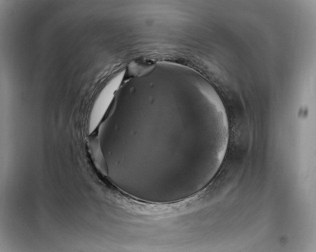 X0000097980031200804071137