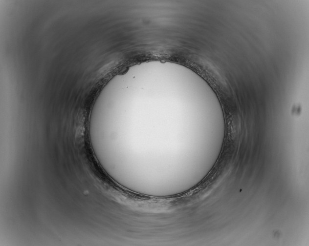 X0000097980032200804071137