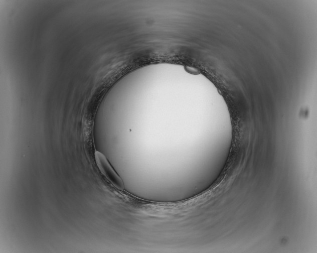 X0000097980033200804071137