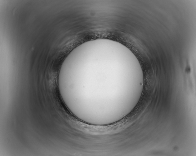 X0000097980034200804071137