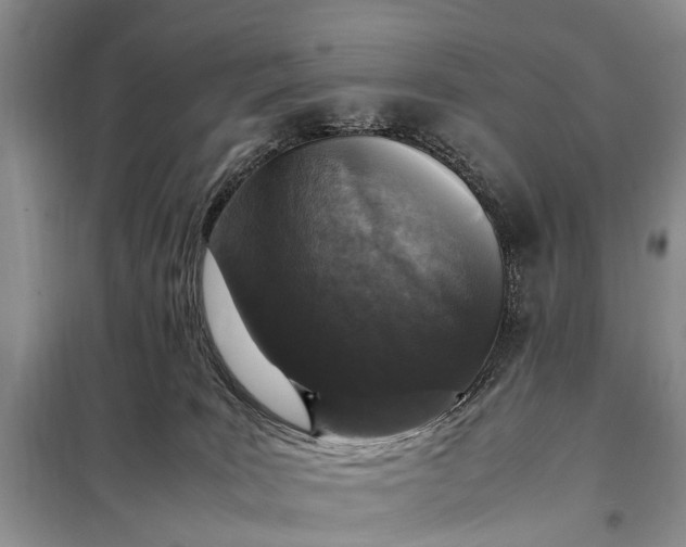 X0000097980035200804071137