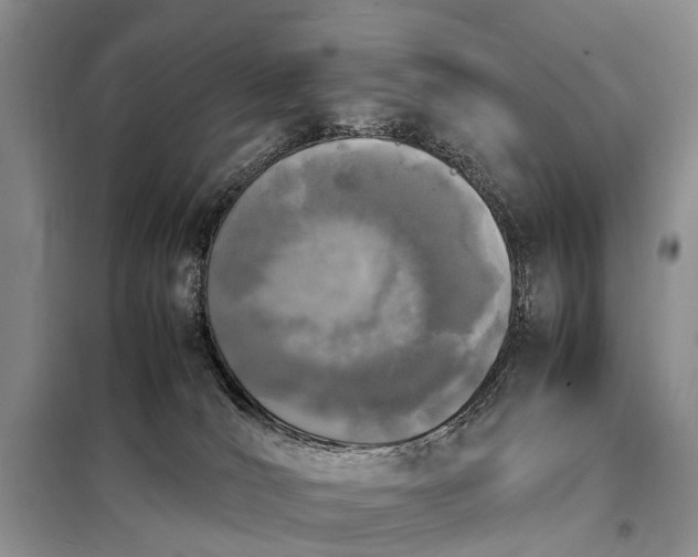 X0000097980036200804071137