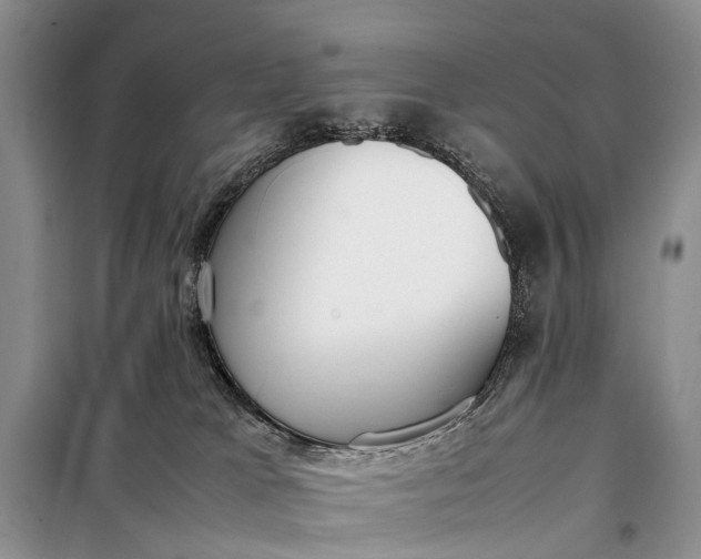 X0000097980037200804071137