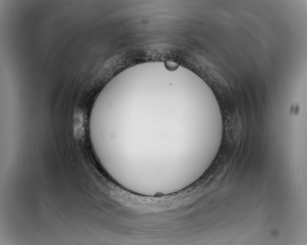 X0000097980038200804071137