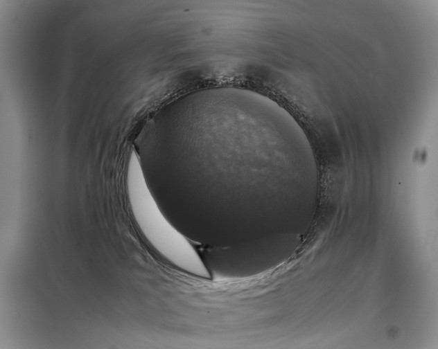 X0000097980039200804071137