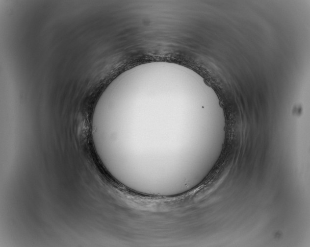 X0000097980040200804071136