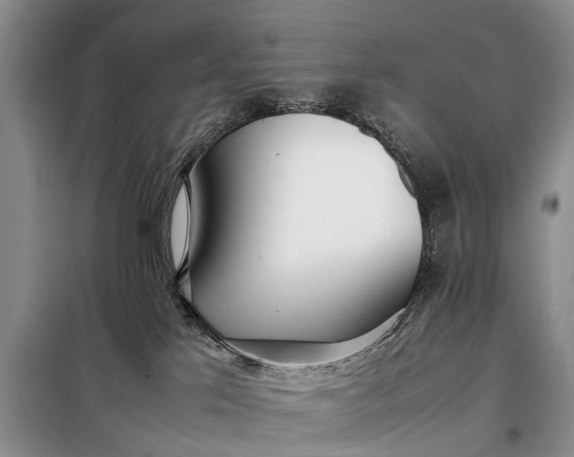 X0000097980041200804071136