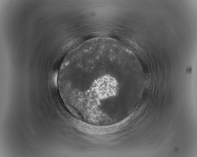 X0000097980047200804071136