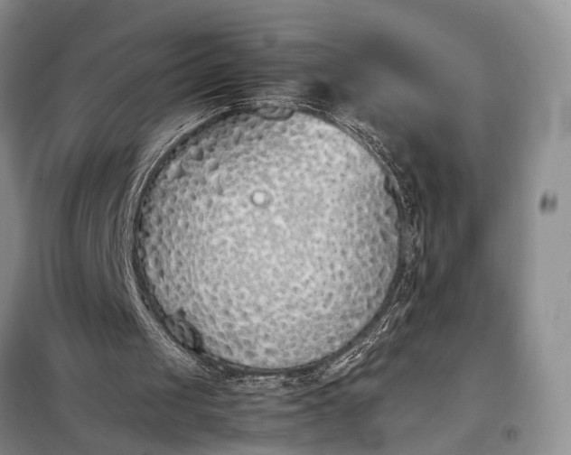 X0000097980049200804071135