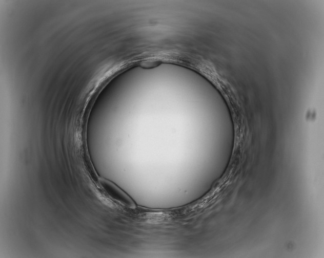 X0000097980050200804071135